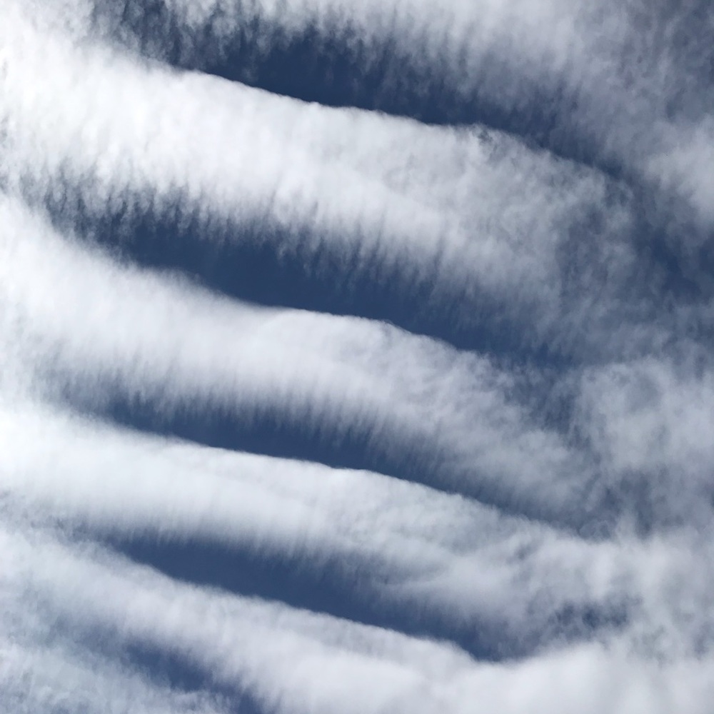 Meet your Posher, Maggie